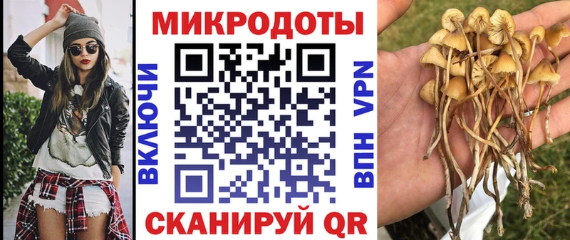 Купить  Энгельс  Псилоцибиновые грибы прущие грибы 